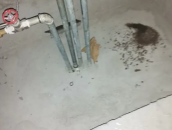 湟源卫生间测漏水价格明细